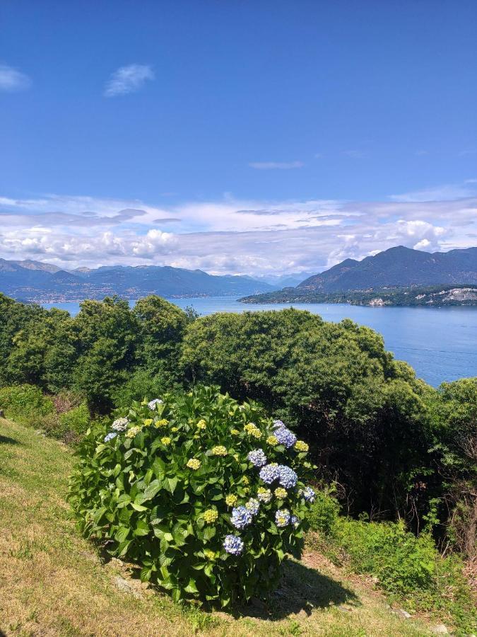 Cloud 9 - Apartment With Stunning Lake View Belgirate Buitenkant foto